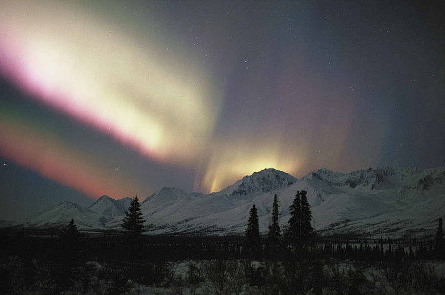 Usa, Alaska, Denali National Park Photograph by Johnny Johnson