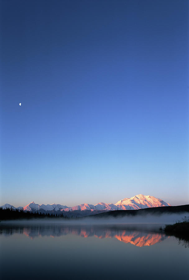 Usa, Alaska, Denali National Park Photograph by Paul Souders