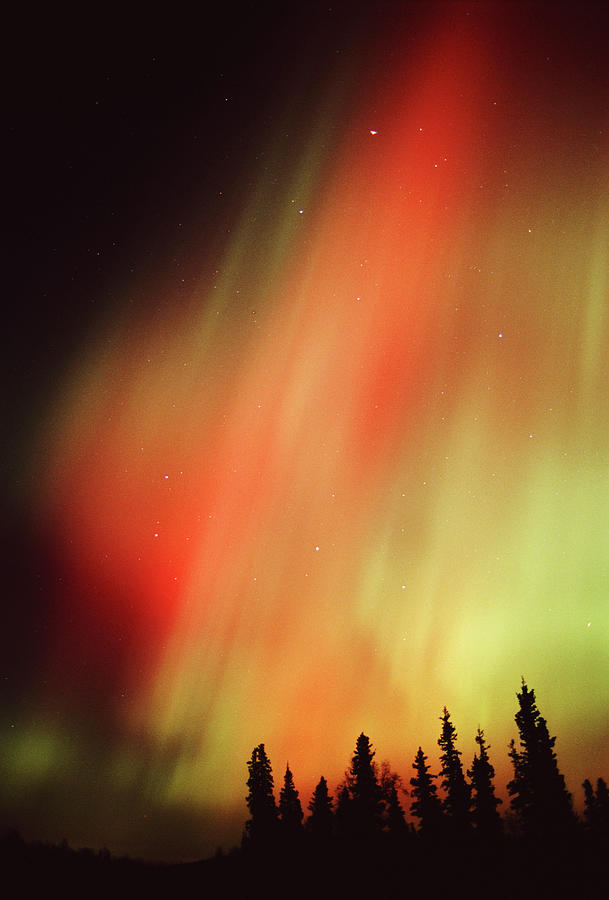 Usa, Alaska, Fairbanks, Aurora Borealis Photograph by Kevin Schafer