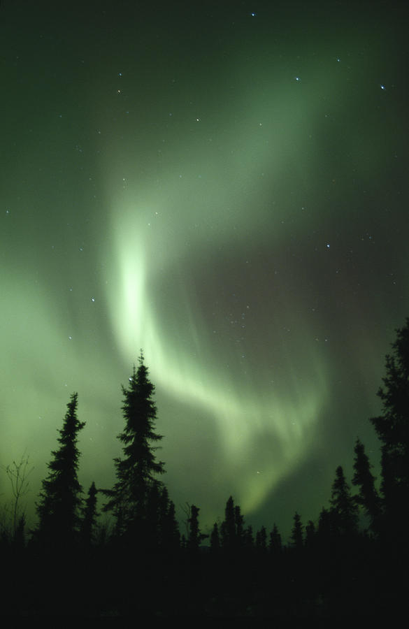 Usa, Alaska, Fairbanks, Aurora Borealis Photograph by Ron Crabtree