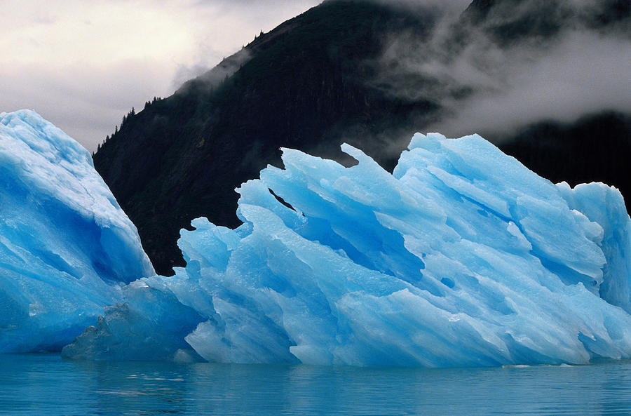 Usa, Alaska, Tracy Arm Fjord, Glacial Photograph by Art Wolfe
