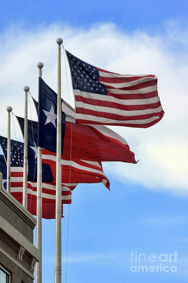 USA and Texas Photograph by Joan Bertucci