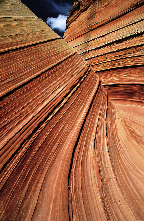 Scenic Photograph - Usa, Arizona, Vermilion Cliffs National by Philippe Bourseiller Scenic Photograph - Usa, Arizona, Vermilion Cliffs National by Philippe Bourseiller