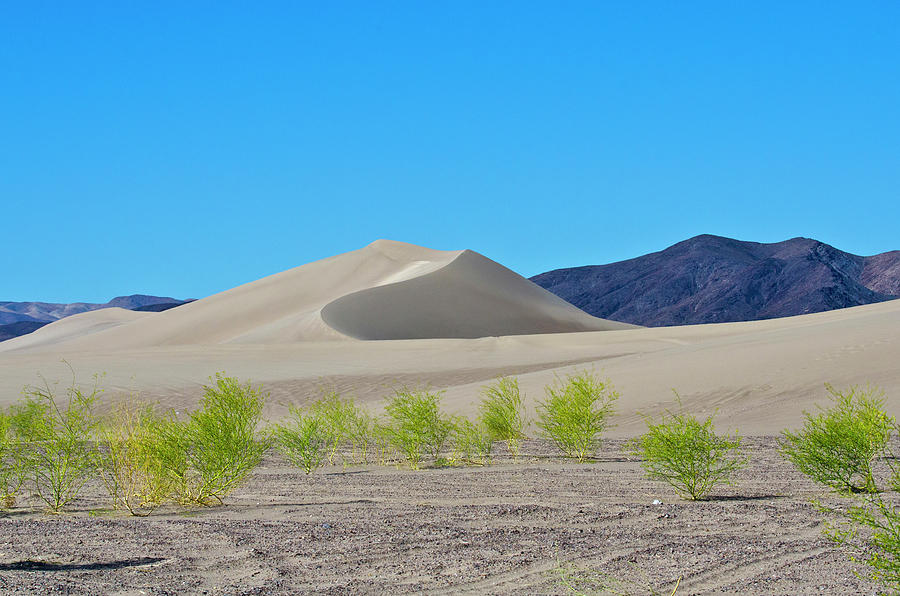 California Photograph - USA, California Death Valley National by Bernard Friel