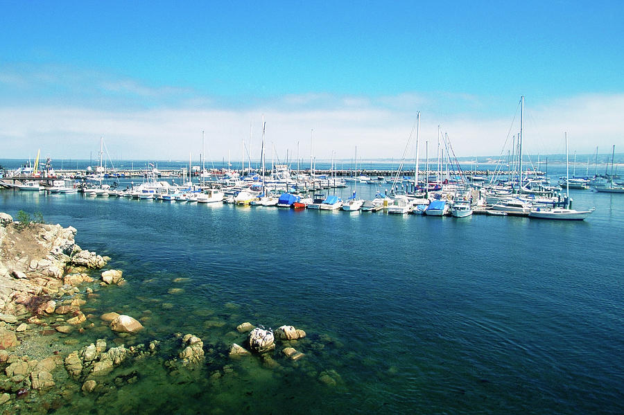 Usa, California, Monterey, Marina Photograph by Medioimages/photodisc Usa, California, Monterey, Marina Photograph by Medioimages/photodisc