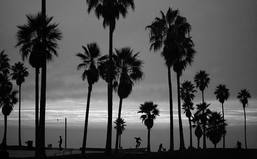 Usa, California, Venice, Venice Beach Photograph by John Livzey Usa, California, Venice, Venice Beach Photograph by John Livzey