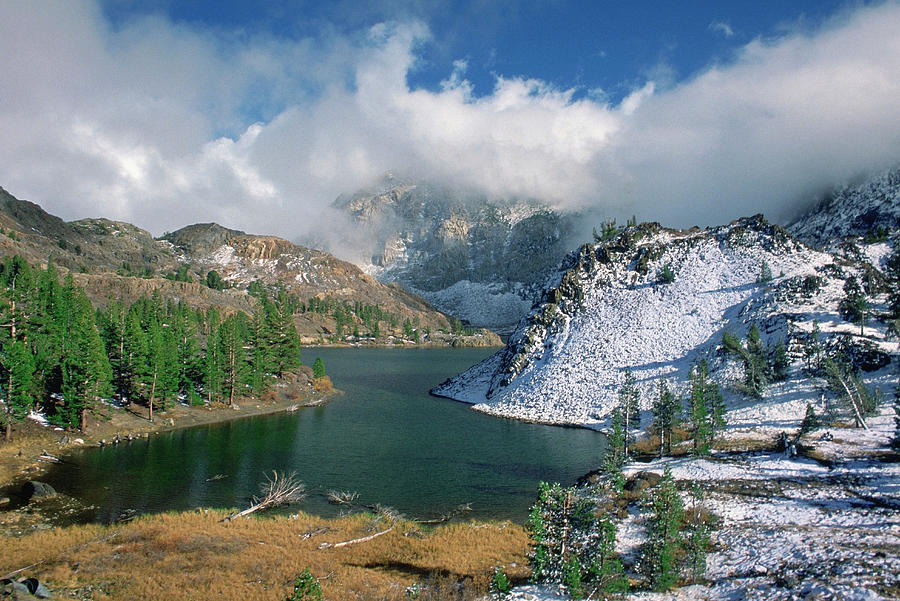 Usa, California, Yosemite National Photograph by Medioimages/photodisc
