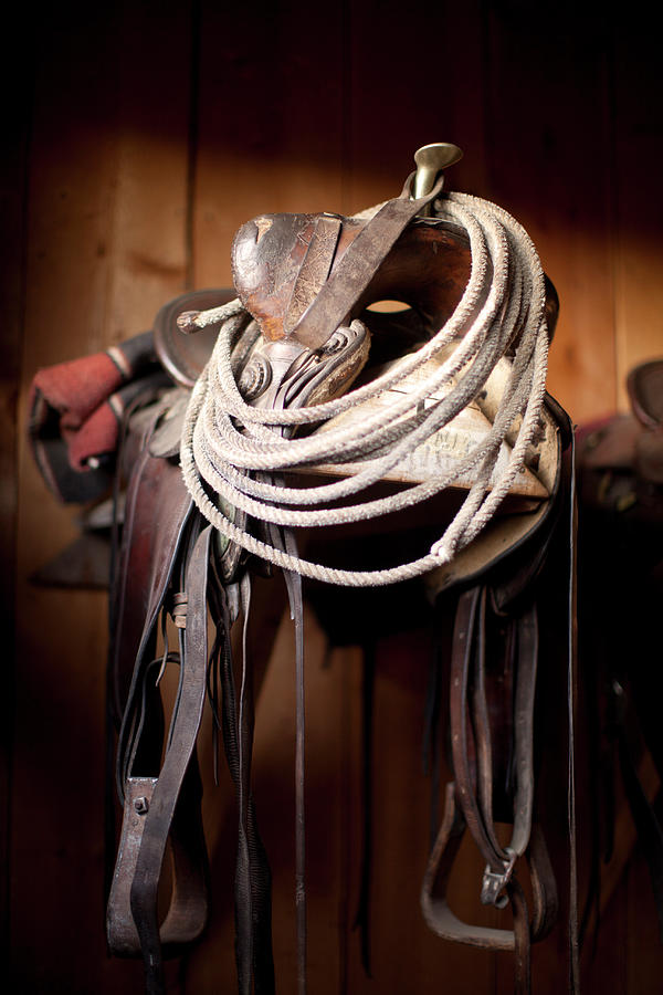 Usa, Colorado, Close-up Of Saddle With Photograph by John Kelly
