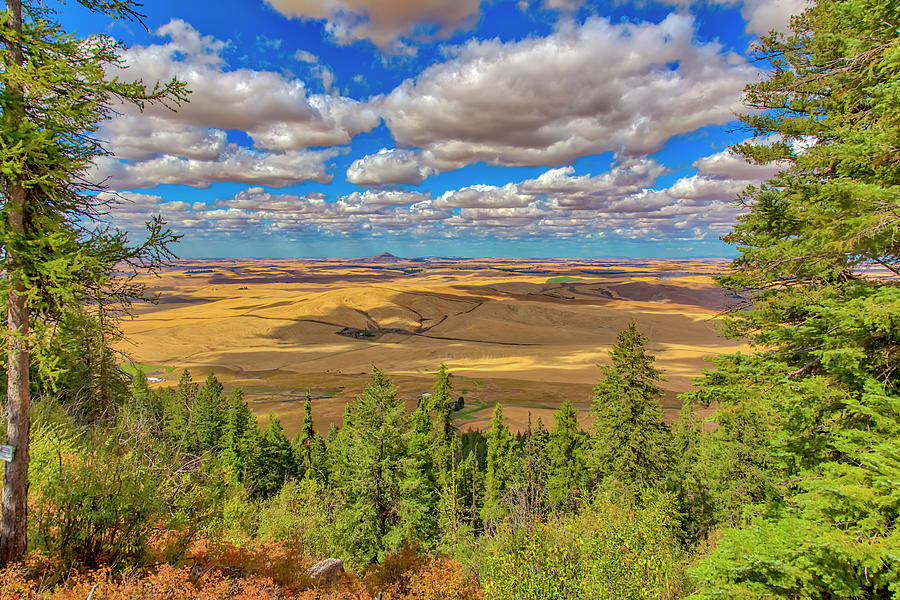 Agriculture Photograph - Usa, Colorado, Colfax by Jaynes Gallery Agriculture Photograph - Usa, Colorado, Colfax by Jaynes Gallery