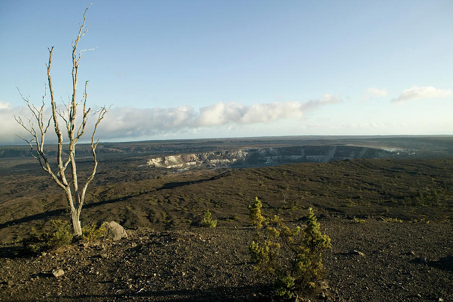 Usa, Hawaii, Big Island, Volcanoes National Park, Volcano, Crater, Tree, Death, Desolate, Landscape, Width, Halema Crater Photograph by Annie Engel
