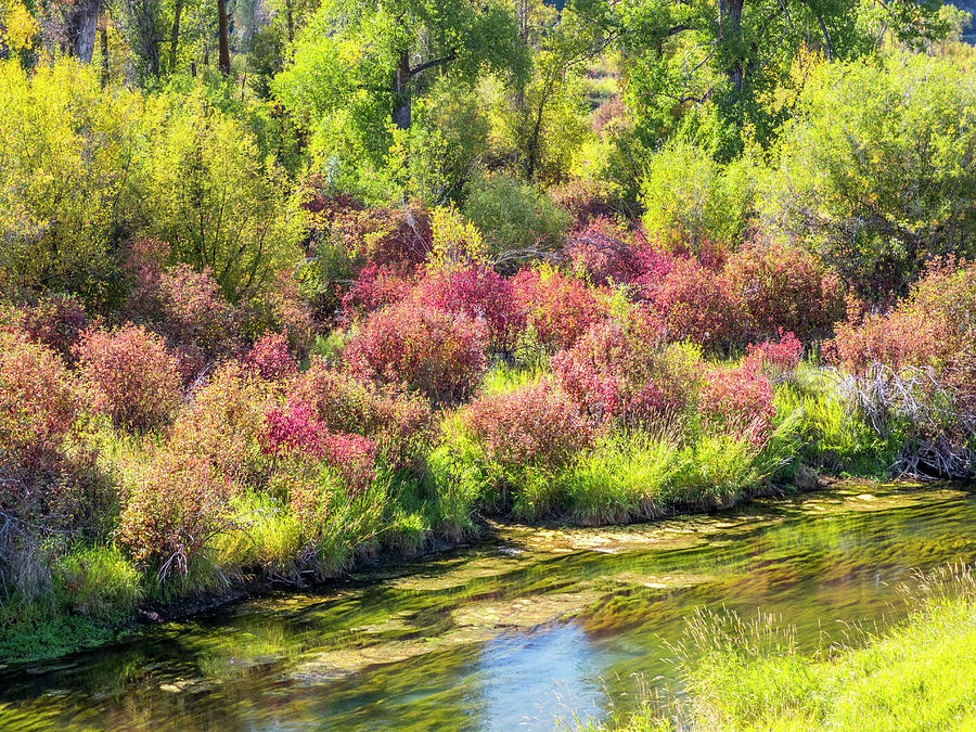 Landscape Photograph - USA, Idaho, Swan Valley Along The Snake by Sylvia Gulin