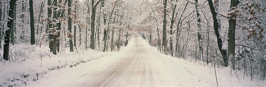 Tree Photograph - Usa, Michigan, Holland, Road, Winter by Panoramic Images
