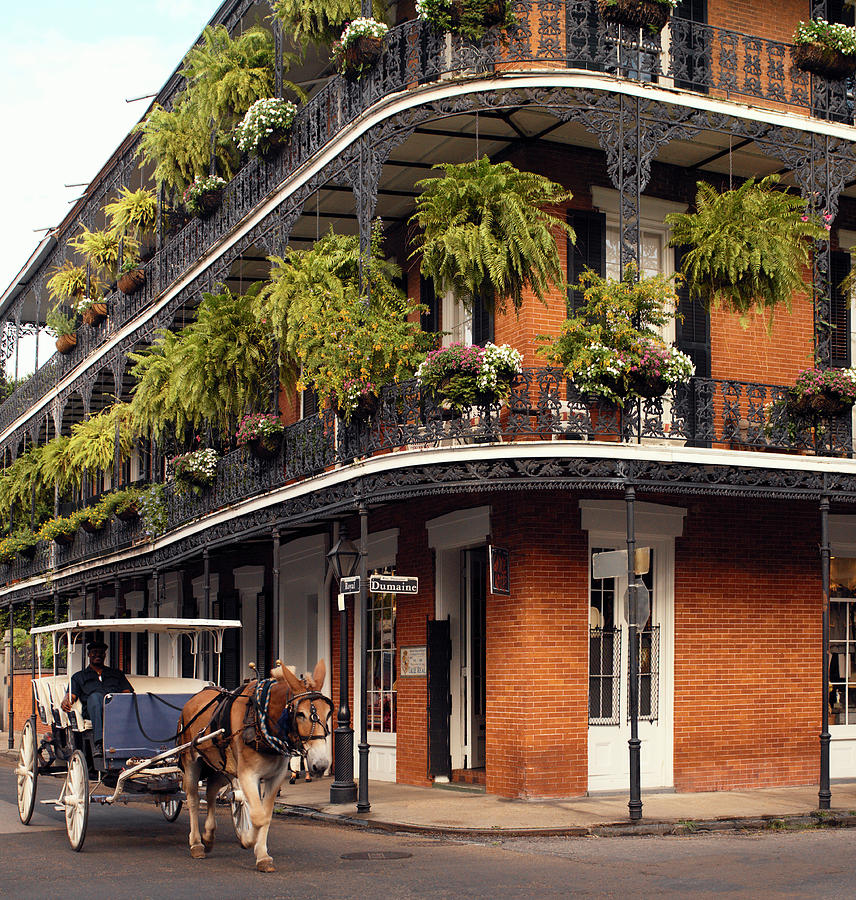 Usa, New Orleans, Horse Drawn Carriage Photograph By Steve Allen