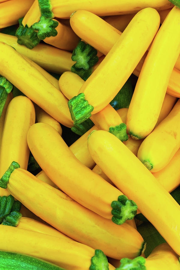 Usa, New York City, Yellow Squash Photograph by Tetra Images