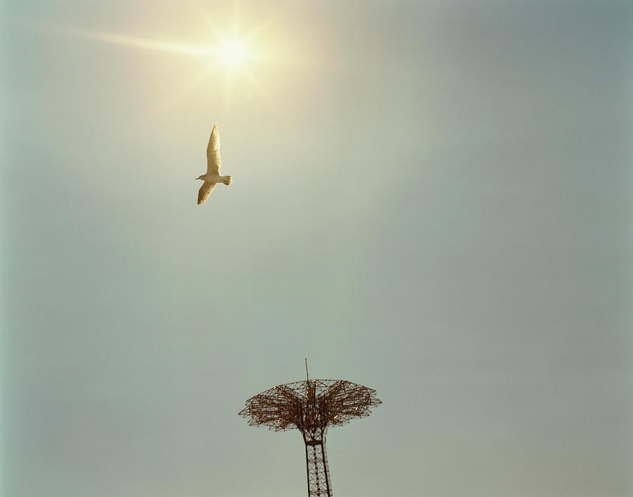 Usa, New York, Coney Island Amusement Photograph by David Lees