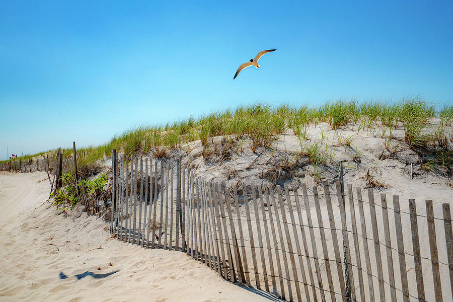 Usa, New York, Long Island, Jones Beach, Sandbreak And Dunes. Digital Art by Alejandra Uribe Posada