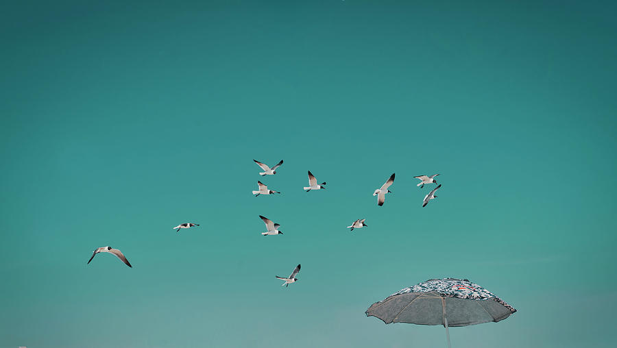 Usa, New York, Long Island, Jones Beach, Umbrella And Seagulls Flying In A Blue Sky. Digital Art by Alejandra Uribe Posada