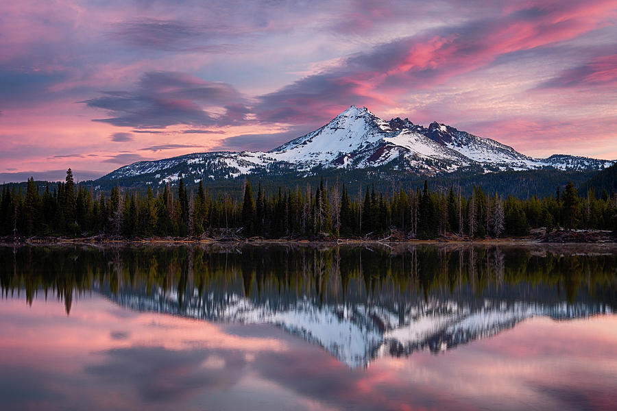 USA, Oregon Deschutes National Forest Photograph by Mark Williford ...