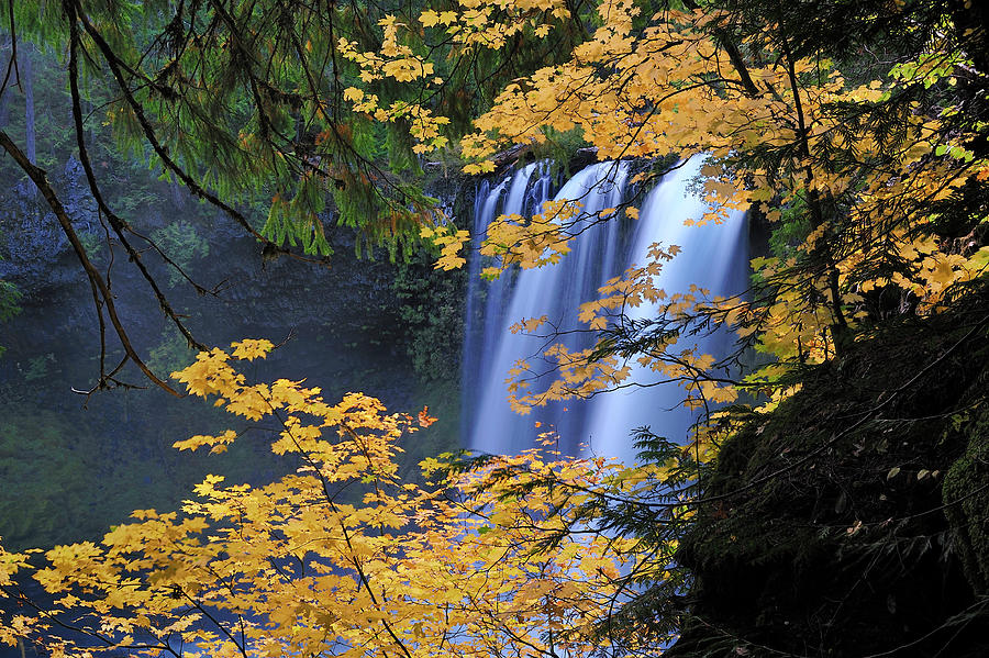Usa, Oregon, Koosah Falls Digital Art by Heeb Photos