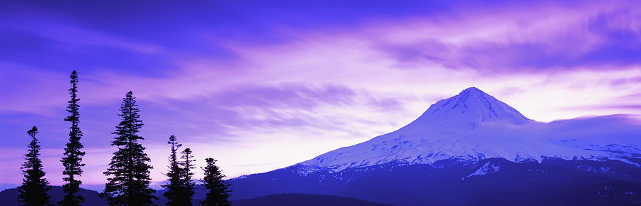 Usa, Oregon, Mount Hood, Tree Tops In Photograph by Travelpix Ltd