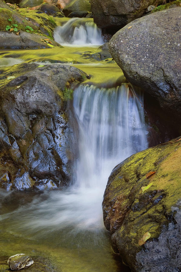 Usa, Oregon, Small Waterfall Photograph by Gary J Weathers