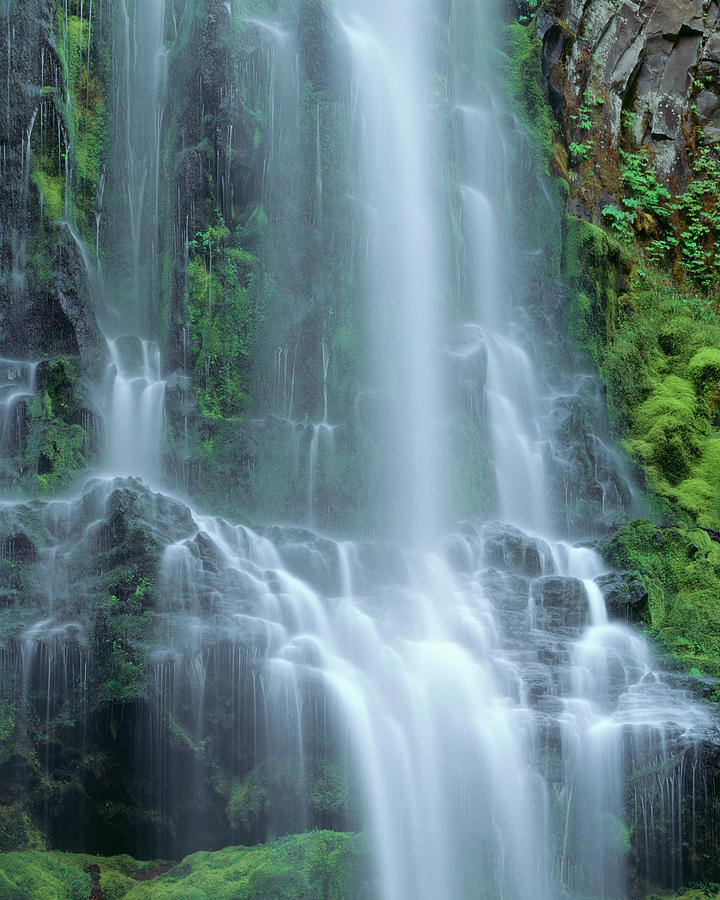 USA, Oregon Willamette National Forest Photograph by John Barger - Fine ...