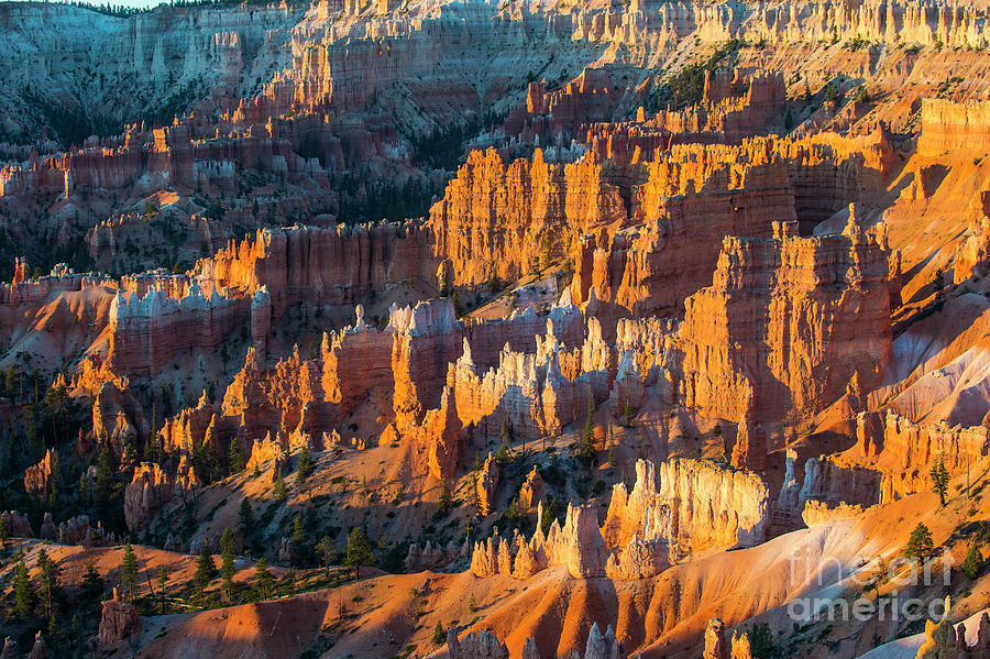 Usa, Utah, Bryce Canyon National Park Photograph by Westend61