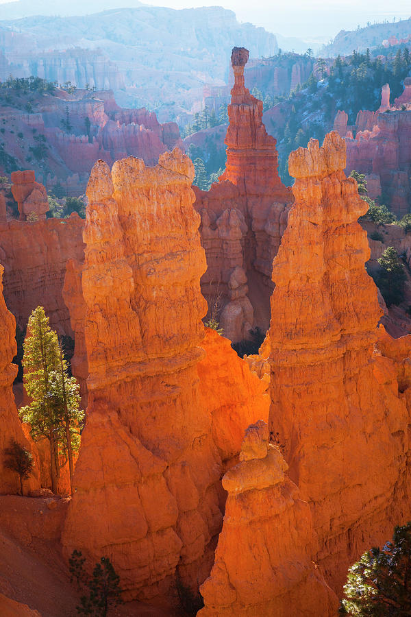 Usa, Utah, Bryce Canyon Natl. Park Digital Art by Tim Draper