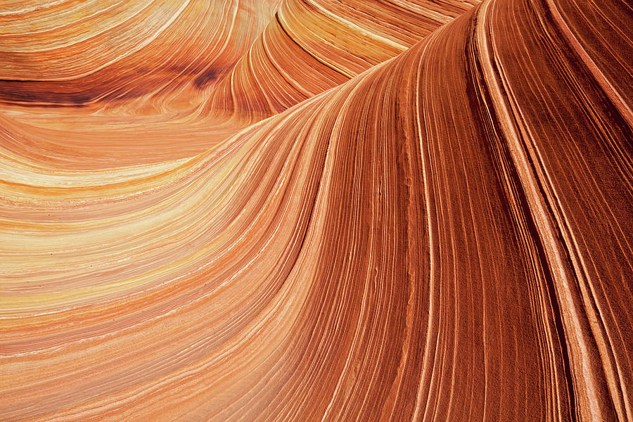 Usa, Utah, Coyote Buttes, Wave Photograph by Westend61