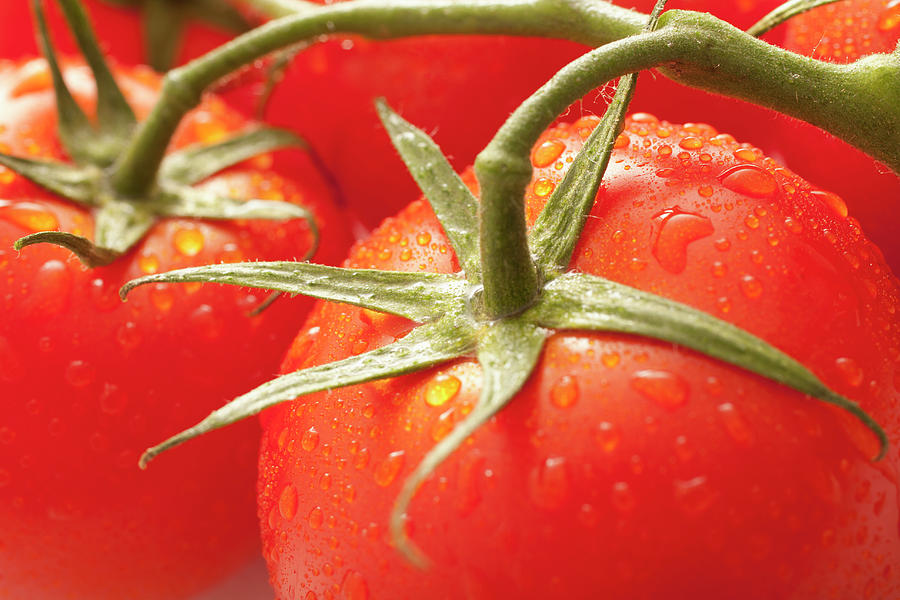 Usa, Utah, Lehi, Fresh Tomatoes With Photograph by Mike Kemp Usa, Utah, Lehi, Fresh Tomatoes With Photograph by Mike Kemp