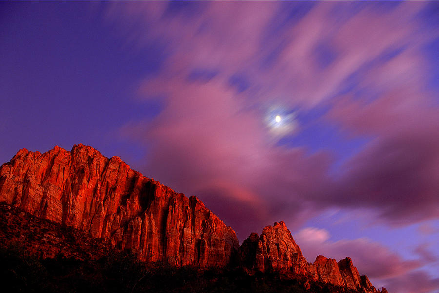 Usa, Utah, Zion National Park, The Photograph by John Elk Iii