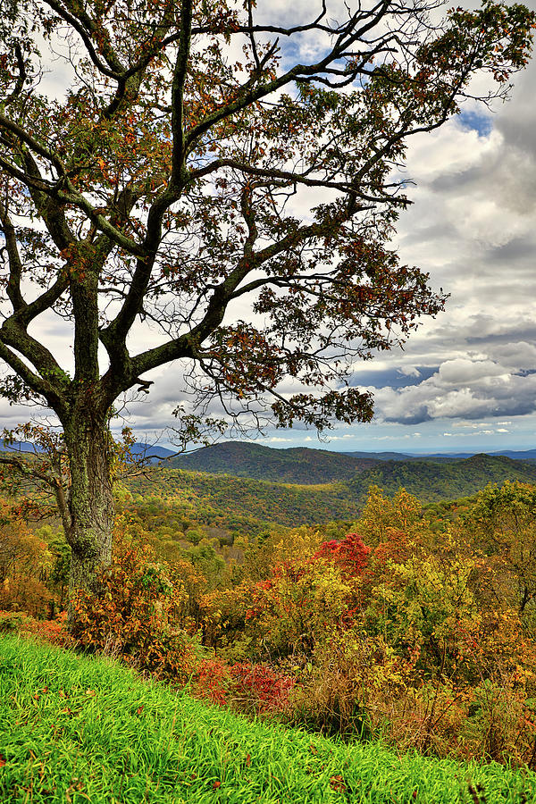 Shenandoah National Park Photograph - USA, Virginia, Shenandoah National by Hollice Looney
