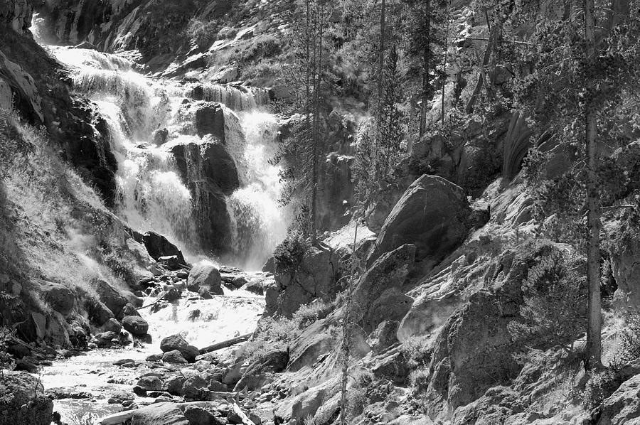 Usa, Wyoming, Yellowstone Np, Mystic by Guy Crittenden