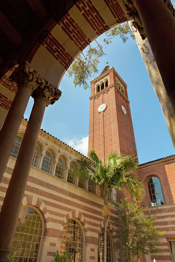 Usc Tower Photograph by Chris Moyer