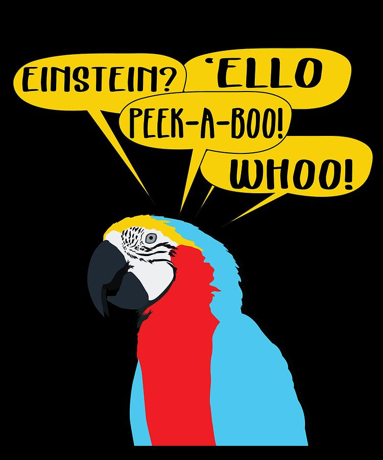 Used To Be Noisy But Funny Talking Bird Tshirt Design Einstein Parrot Mixed Media By Roland Andres