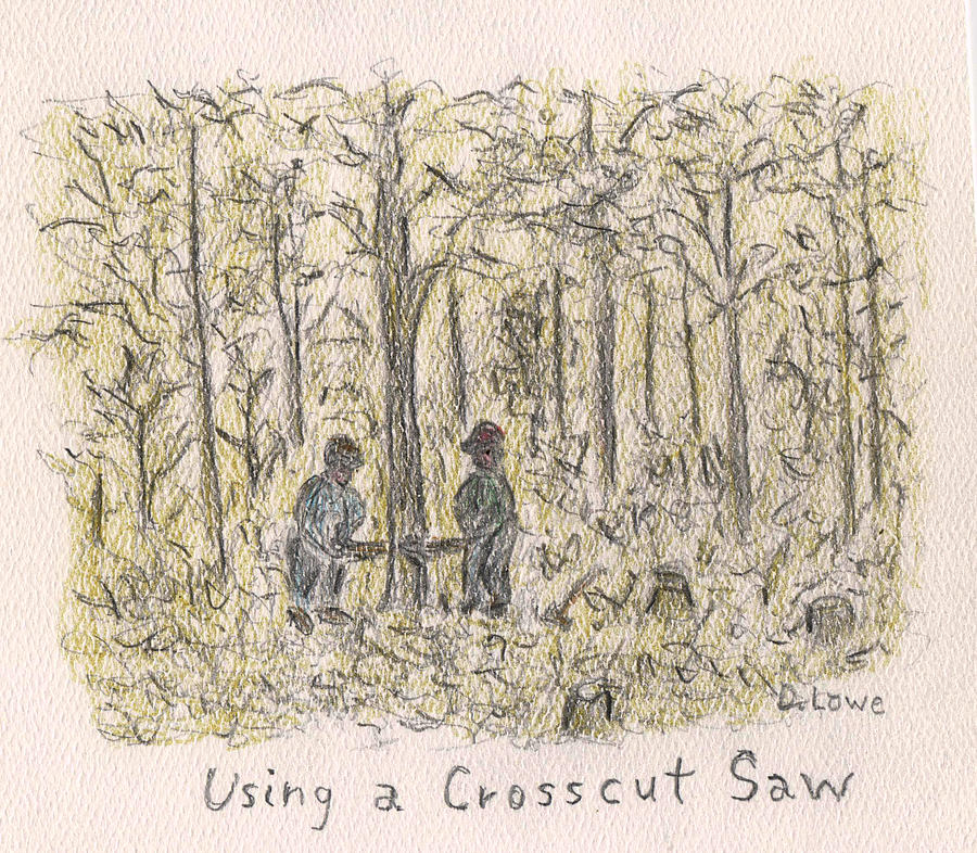 Using a Crosscut Saw Drawing by Danny Lowe
