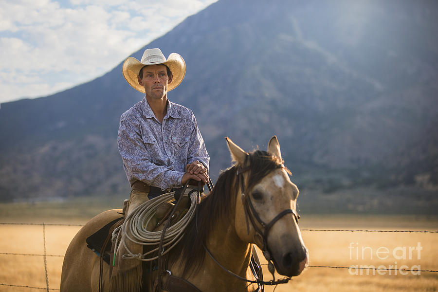 Utah Cowboy Photograph by Diane Diederich
