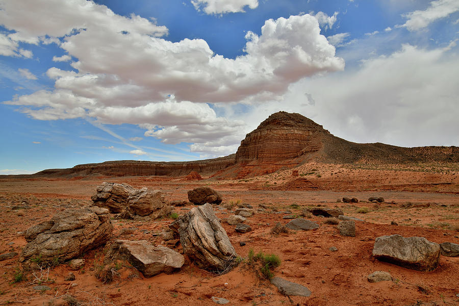 Utah Scenic Byway 191 Red Rock Desert Photograph by Ray Mathis