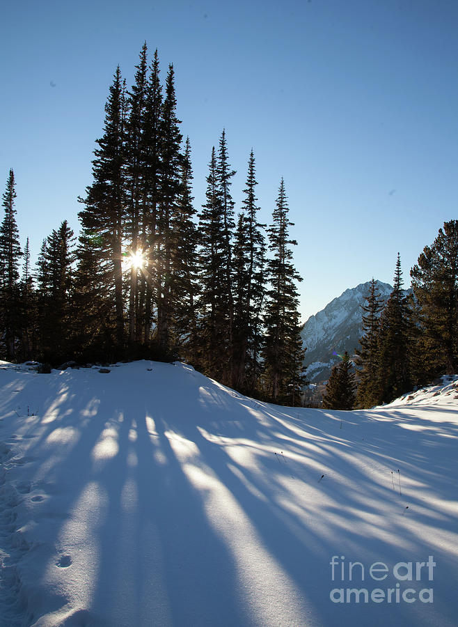 Utah winter #1628_7905 Photograph by James Baron