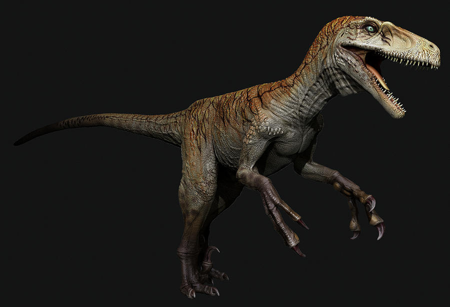 utahraptor dinosaur