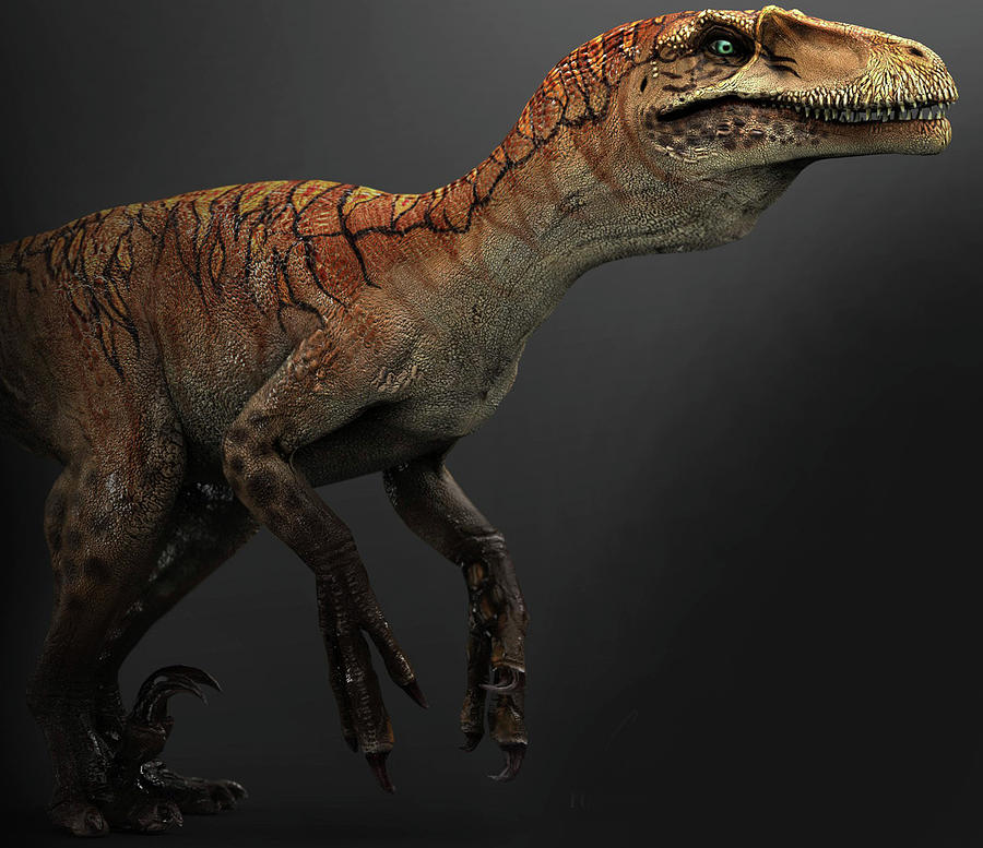 Utahraptor Dinosaur, Side View Photograph by Robert Fabiani | Fine Art ...