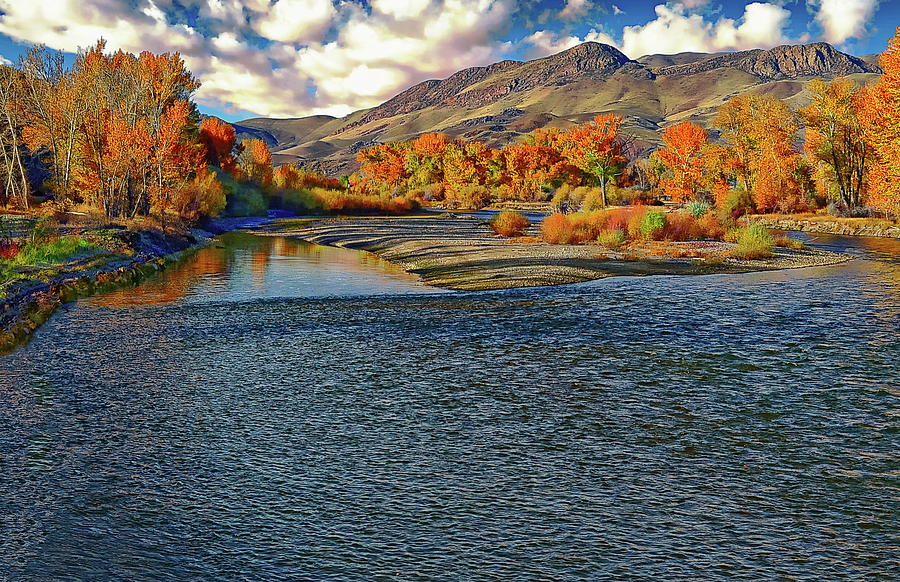 Utah's Salmon River by Anthony Dezenzio Utah's Salmon River by Anthony Dezenzio