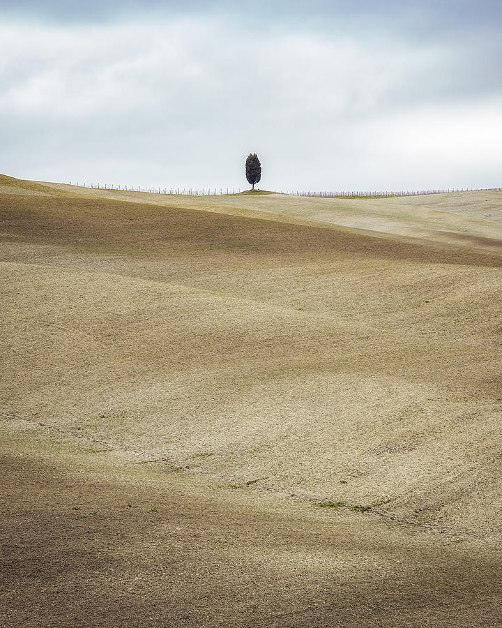 Val D\orcia Minimal Photograph by Sergio Barboni