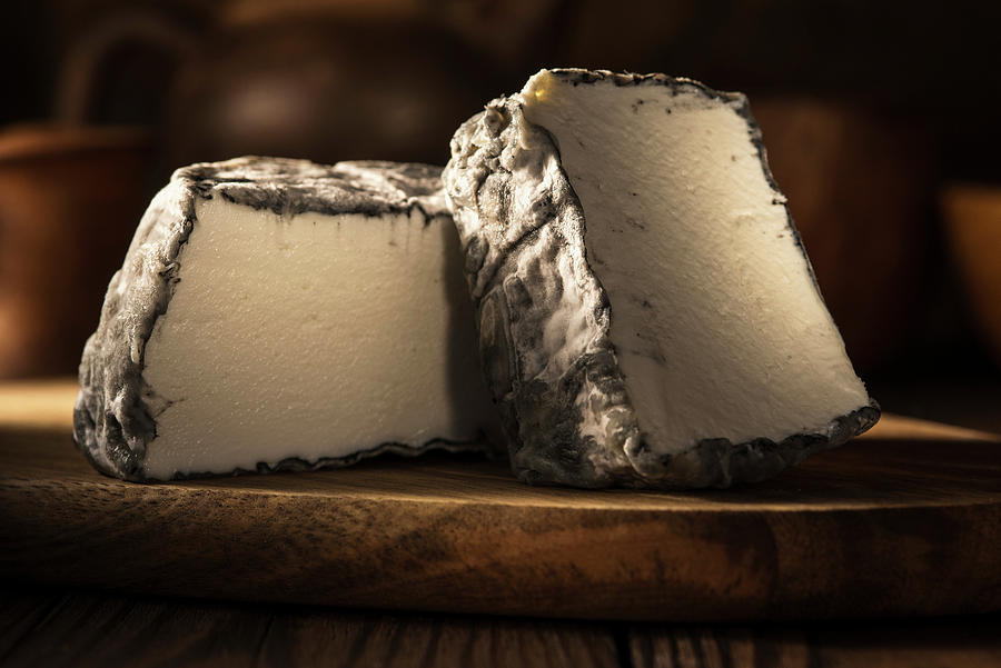 Valence Goat Cheese With Mold Photograph by Reiand