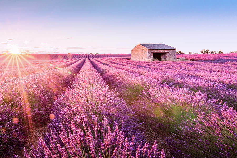 Valensole en Provence Photograph by Francesco Riccardo Iacomino