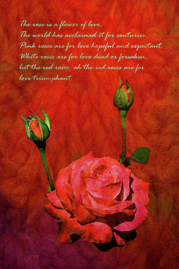 Valentines Day Roses 1  The Power of Love Digital Art by Linda Brody