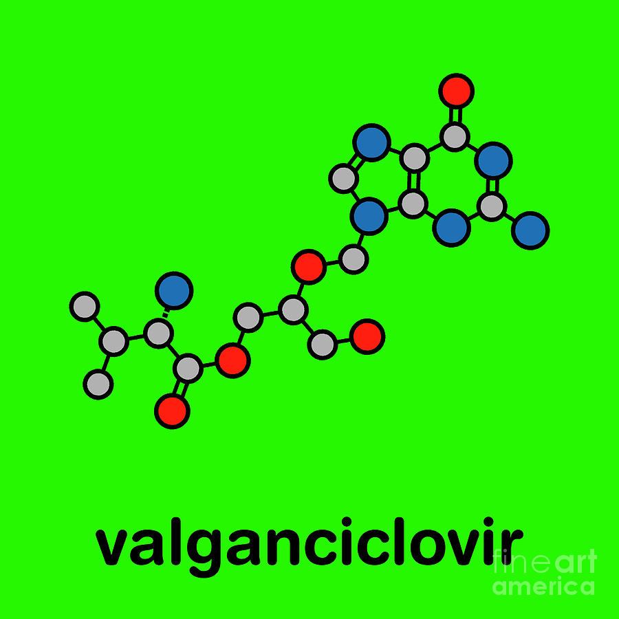 Valganciclovir Cytomegalovirus Drug Photograph by Molekuul/science Photo Library