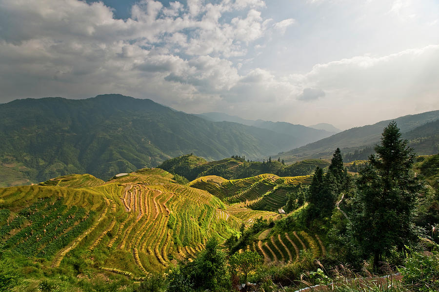 Valley And Longji Rice Terraces Photograph by Merten Snijders