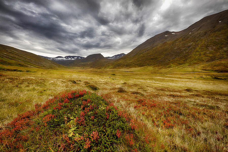 Valley Of Colors Photograph by orsteinn H. Ingibergsson