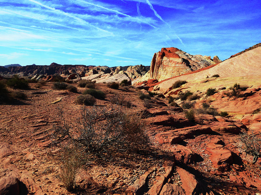 Valley of Fire 1 Photograph by Alan Socolik